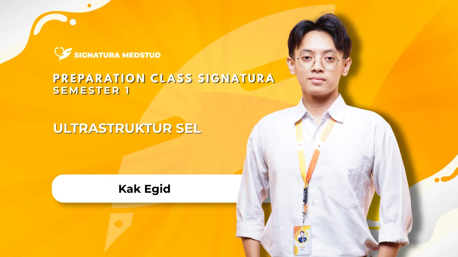 Ultrastruktur Sel
